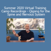 Bruce Frantzis Craig Barnes Lee Burkins Summer 2020 Virtual Training Camp Qigong for the Spine and Nervous System
