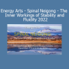 Bruce Frantzis Energy Arts Spinal Neigong 2022 course for stability and fluidity