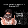 Snow Raven Nature Sounds A Beginner’s Journey 2025 course