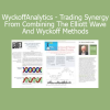 Jeffrey Kennedy & Roman Bogomazov WyckoffAnalytics Trading Synergy From Combining The Elliott Wave And Wyckoff Methods course