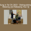 Bruce Frantzis Craig Barnes Sung in Tai Chi 2023 Distinguishing Relaxing and Releasing Your Qi course