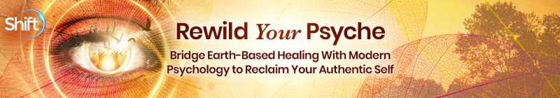 Jonathan Hammond - Rewild Your Psyche 2024