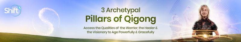 Sifu Matthew Cohen - 3 Archetypal Pillars of Qigong 2024