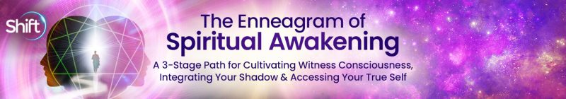 Beatrice Chestnut, PhD - The Enneagram of Spiritual Awakening 2024