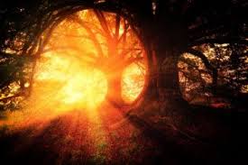 Bill Bauman - Awakening the Mystic Christ Within
