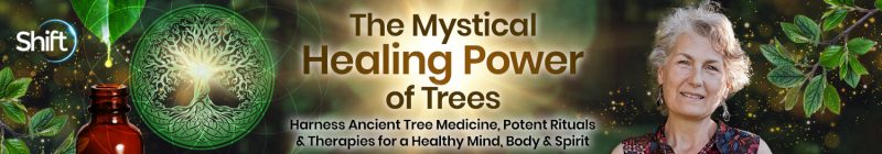 Chanchal Cabrera - The Mystical Healing Power of Trees 2024