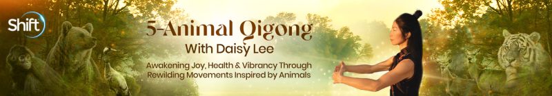 Daisy Lee - 5-Animal Qigong 2024