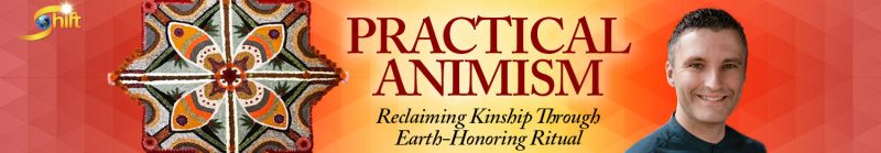 Daniel Foor - Practical Animism