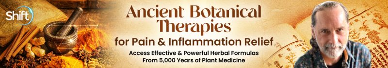 David Crow, LAc - Ancient Botanical Therapies for Pain & Inflammation Relief 2025