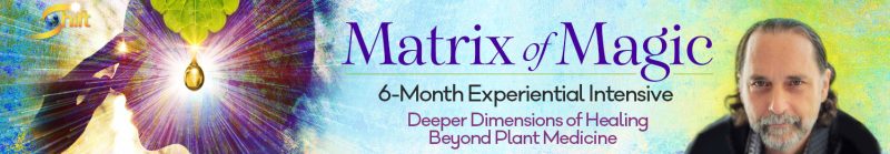David Crow - Matrix of Magic 6-Month Experiential Intensive