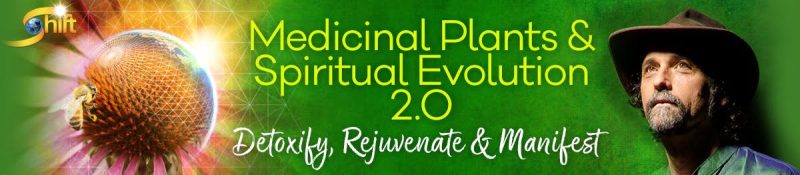 David Crow - Medicinal Plants & Spiritual Evolution 2.0