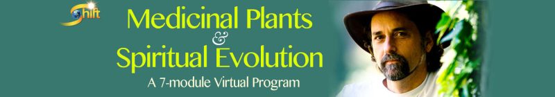 David Crow - Medicinal Plants and Spiritual Evolution