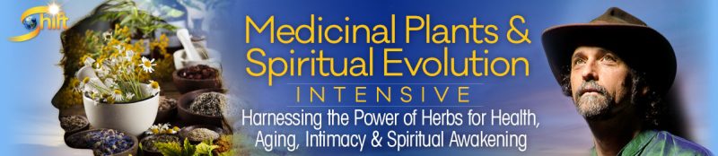 David Crow - Medicinal Plants and Spiritual Evolution Intensive