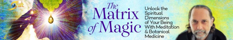 David Crow - The Matrix of Magic