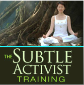 David Nicol - The Subtle Activist Training