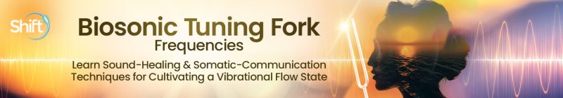 Dr. John Beaulieu, ND, PhD - Biosonic Tuning Fork Frequencies 2024