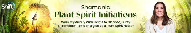 Emma Fitchett, MSc - Shamanic Plant Spirit Initiations 2024