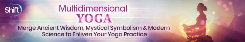 Gary Kraftsow - Multidimensional YOGA
