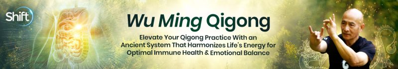 Grand Master Nan Lu - Wu Ming Qigong 2024
