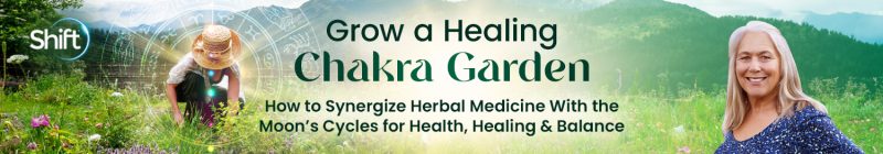 Jane Hawley Stevens - Grow a Healing Chakra Garden 2024