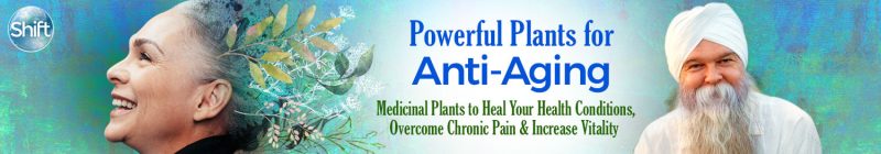 K. P. Khalsa - Powerful Plants for Anti-Aging 2022