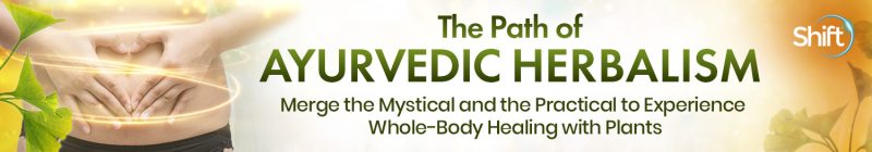 K.P. Khalsa - Path of Ayurvedic Herbalism 2022