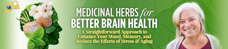 Mary Bove - Medicinal Herbs for Better Brain Health