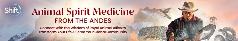 Puma Fredy Quispe Singona - Animal Spirit Medicine From the Andes 2024