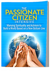 Rabbi Michael Lerner & Cat Zavis - The Passionate Citizen Intensive