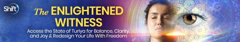 Raja Choudhury - The Enlightened Witness 2022