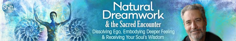 Rodger Kamenetz - Natural Dreamwork & the Sacred Encounter 2022