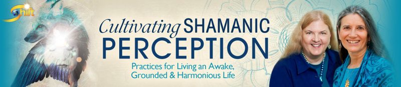 Sandra Ingerman & Evelyn Rysdyk - Cultivating Shamanic Perception