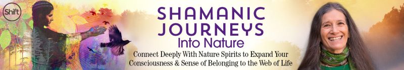 Sandra Ingerman, MA - Shamanic Journeys Into Nature