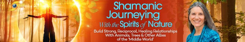 Sandra Ingerman - Shamanic Journeying With the Spirits of Nature 2022