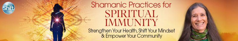 Sandra Ingerman - Shamanic Practices for Spiritual Immunity 2022