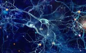 Sigh Energy - Brain Improvement Process Powerful Plus +11x (Extra Strong)