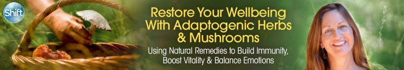 Teresa Boardwine - Restore Your Wellbeing Using Adaptogenic Herbs & Mushrooms 2022