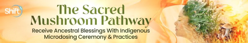Xochitl Kusikuy Ashe - The Sacred Mushroom Pathway 2023