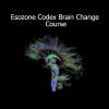 Command Z Esozone Codex Brain Change Course cover image