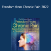Hal Greenham and Dr. Howard Schubiner presenting Freedom from Chronic Pain 2022 to help participants heal pain through mind-body connection and neuroplasticity