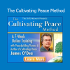 James O'Dea teaching peacebuilding techniques that integrate spiritual practice, social healing, and conscious leadership