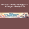 Joan Ranquet teaching Advanced Animal Communication & Energetic Healing 2024 to deepen intuitive connection and support animal wellness