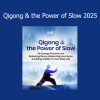 Lee Holden teaching Qigong practices focused on slow, mindful movement for energy cultivation in 2025