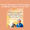 Martha Peterson teaching somatic movement and pandiculation techniques to release trapped trauma and restore body awareness in 2024