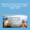 Puma Fredy Quispe Singona teaching Tawa Inti Suyu 2025 to guide healers through the four sacred ley lines of Andean cosmology for spiritual connection and transformation