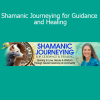 Sandra Ingerman teaching core shamanic journeying techniques to access spirit guidance and personal healing