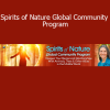 Sandra Ingerman - Spirits of Nature Global Community Program