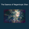 Sapien Medicine Essence of Negentropic Shen energy audio cover image