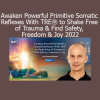 Steve Haines teaching TRE® in 2022 to activate natural tremor responses and release deep-seated trauma for greater freedom and resilience