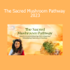 Xochitl Kusikuy Ashe guiding The Sacred Mushroom Pathway 2023 Course - Wisdom of Sacred Plant Medicine